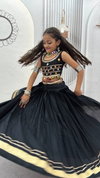 Pc 591 Pure Cotton Mirror Hand Work Kids Wear Navratri Chaniya Choli